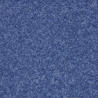 Kid Crossing - Cobalt Vibe
