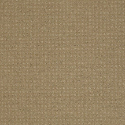 Enduring Comfort Pattern - Cologne Mist