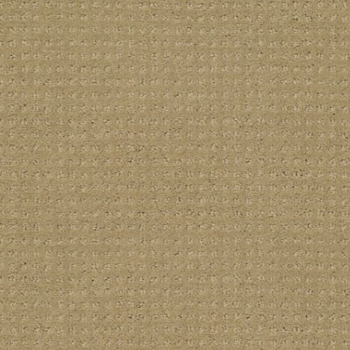 Enduring Comfort Pattern - Honey Pot