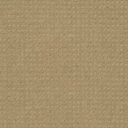 Enduring Comfort Pattern - Honey Pot