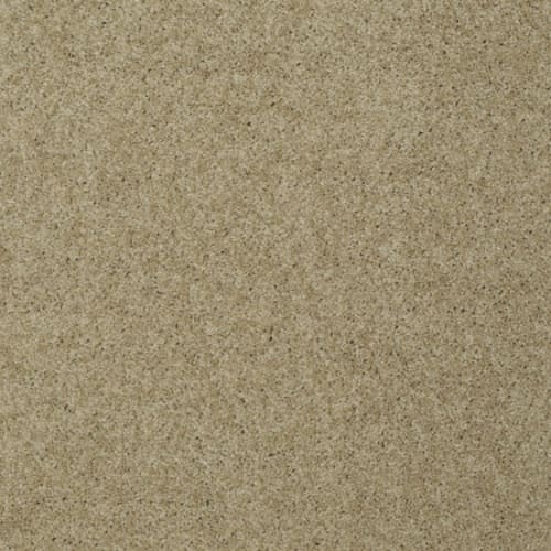 My Choice I - Taffeta