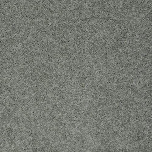 My Choice I - Silver Sage