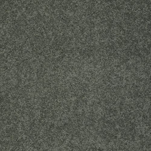 My Choice Iii - Bay Laurel