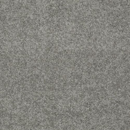 My Choice Iii - Fog