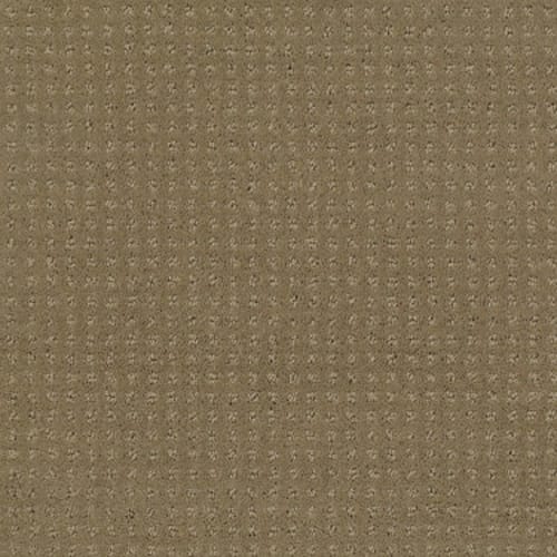 My Choice Pattern - Cappuccino