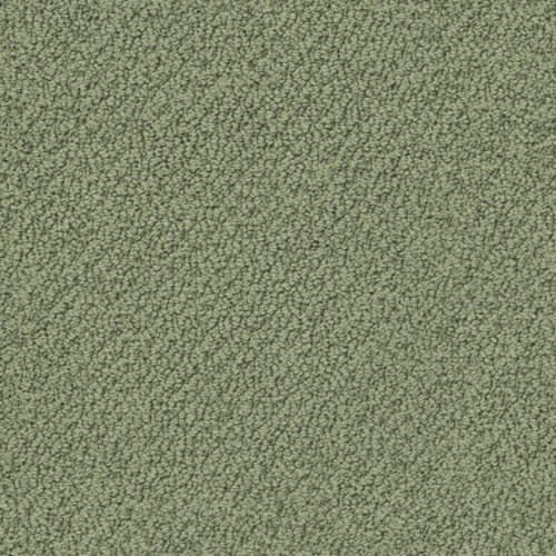 Truly Relaxed Loop - Bay Laurel