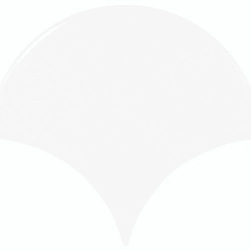 Fan - White