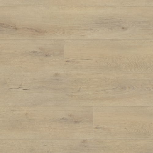 Expedition - Gingko