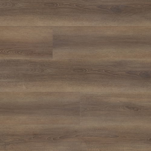 Expedition - Nigella