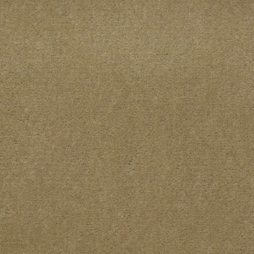 Baytowne Iii 36 - Tuscan Gold