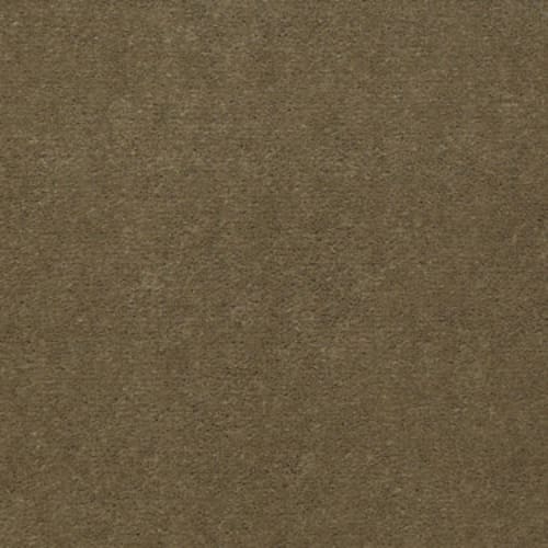 Baytowne Iii 36 - Golden Sage