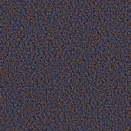 No Limits 26 - Expansive