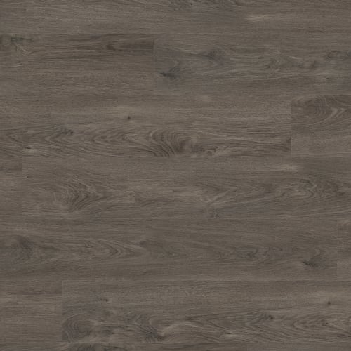 Oceania - Cobia