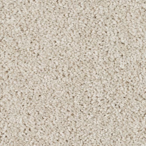 Tryesse Ultra - Silky Dazzle - Pale F.Pale Mocha