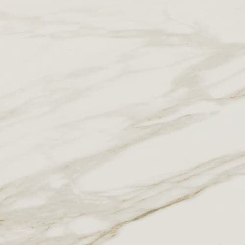 Perpetuo - Brilliant White 12X24