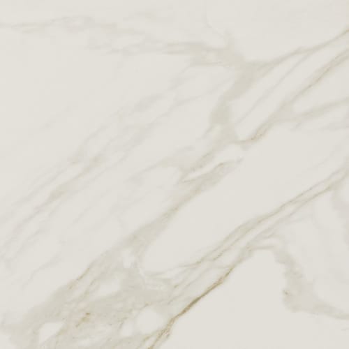 Perpetuo - Brilliant White 24X24
