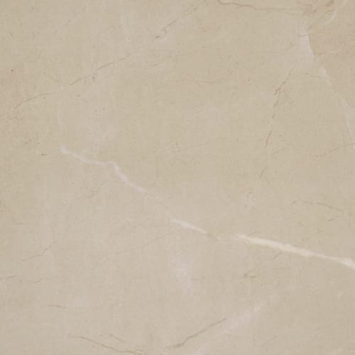 Perpetuo - Elegant Beige 12X12