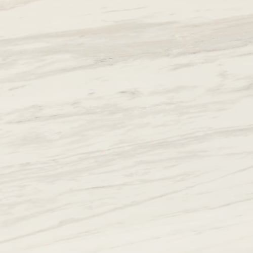 Perpetuo - Timeless White 12X24