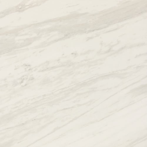 Perpetuo - Timeless White 12X12