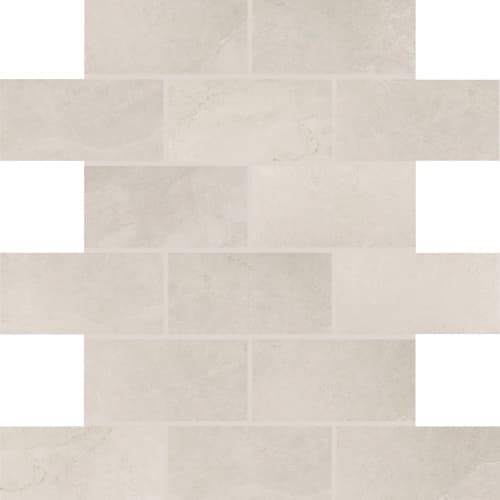 Core Fundamentals - Advantage - Portrait White 2"X4" Brick Joint