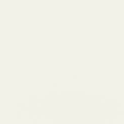 Pure - Frost White 12X24