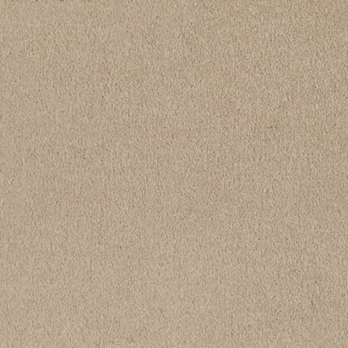 Sandy Hollow I 12' - Almond Flake