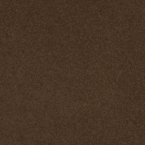 Sandy Hollow I 12' - Tortoise Shell