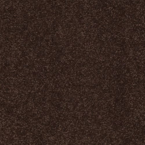Sandy Hollow I 12' - Coffee Bean