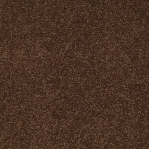 Sandy Hollow I 15' - Tortoise Shell