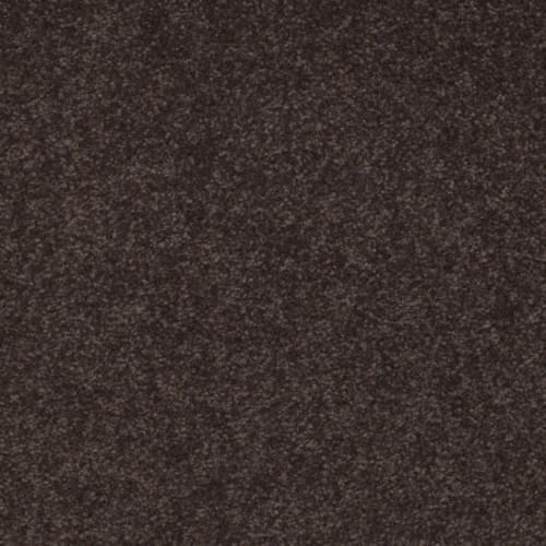 Sandy Hollow I 15' - Tundra