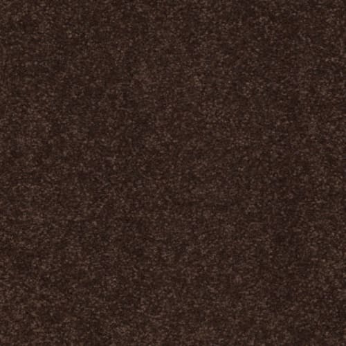 Sandy Hollow Ii 12' - Coffee Bean