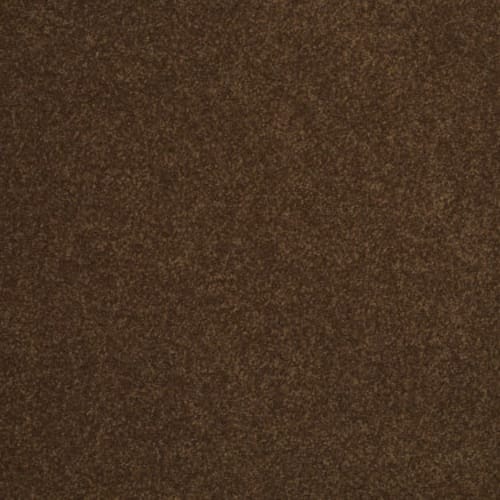 Sandy Hollow Iii 12' - Tortoise Shell
