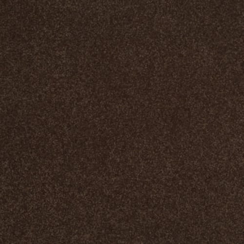 Sandy Hollow Iii 12' - Coffee Bean