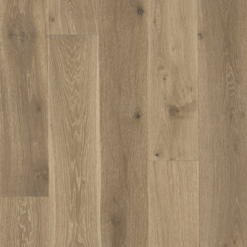Latitude Collection - Sanctuary - Dune