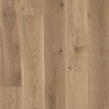 Latitude Collection - Sanctuary - Dune