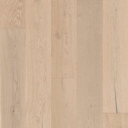 Latitude Collection - Sanctuary - Seasalt