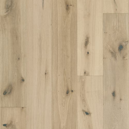 Latitude Collection - Sanctuary - Shell