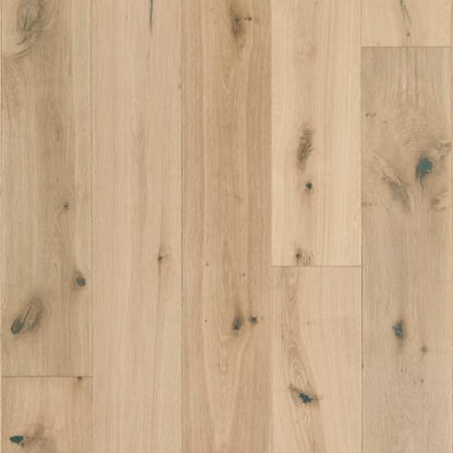 Latitude Collection - Sanctuary - Shell