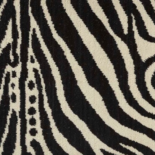 Wildlife Plains Zebra - Ivory
