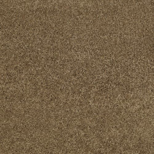 Serendipity I - Bronze Glow