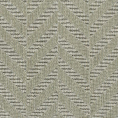 Zig Zag - Lichen