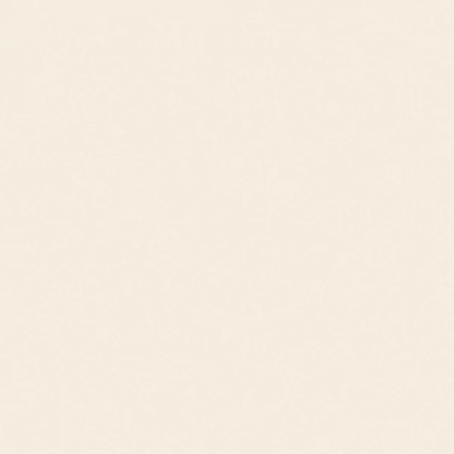 Perfect Choice - French White