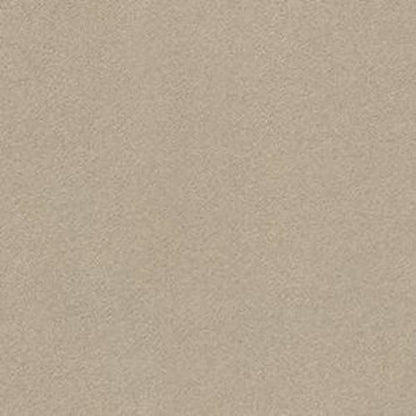 Perfect Choice - Pashmina