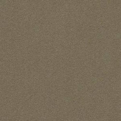 Perfect Choice - Sleek Suede